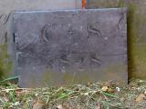 image of grave number 681691